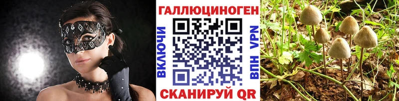 цена наркотик  Меленки  Псилоцибиновые грибы прущие грибы 